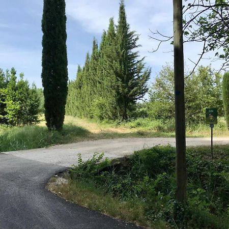 Le Jardin D'Erables St Remy 7 Ha Piscine/Clim Βίλα Paluds de Noves Εξωτερικό φωτογραφία
