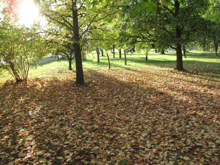 Le Jardin D'Erables St Remy 7 Ha Piscine/Clim Βίλα Paluds de Noves Εξωτερικό φωτογραφία