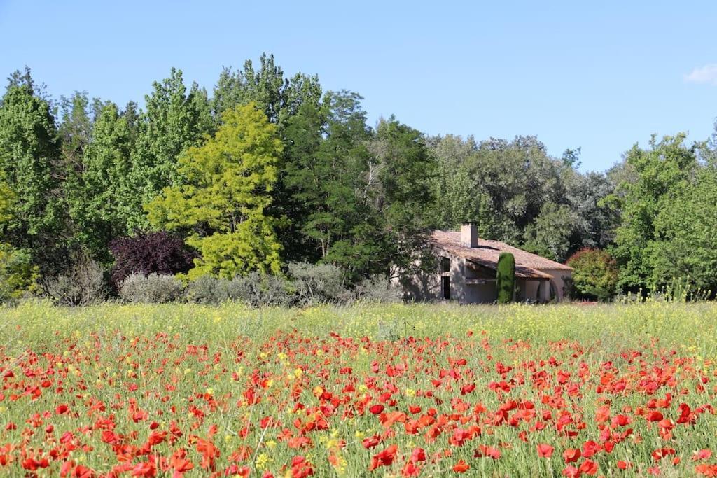 Le Jardin D'Erables St Remy 7 Ha Piscine/Clim Βίλα Paluds de Noves Εξωτερικό φωτογραφία