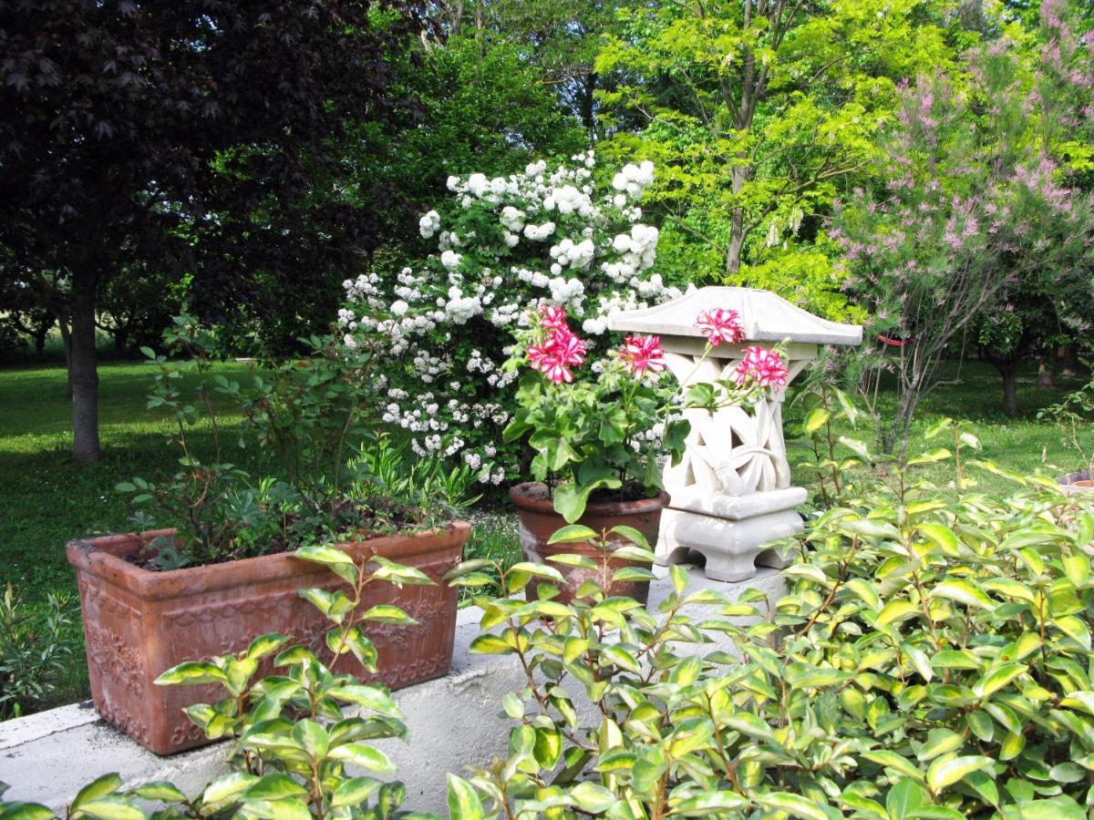 Le Jardin D'Erables St Remy 7 Ha Piscine/Clim Βίλα Paluds de Noves Εξωτερικό φωτογραφία